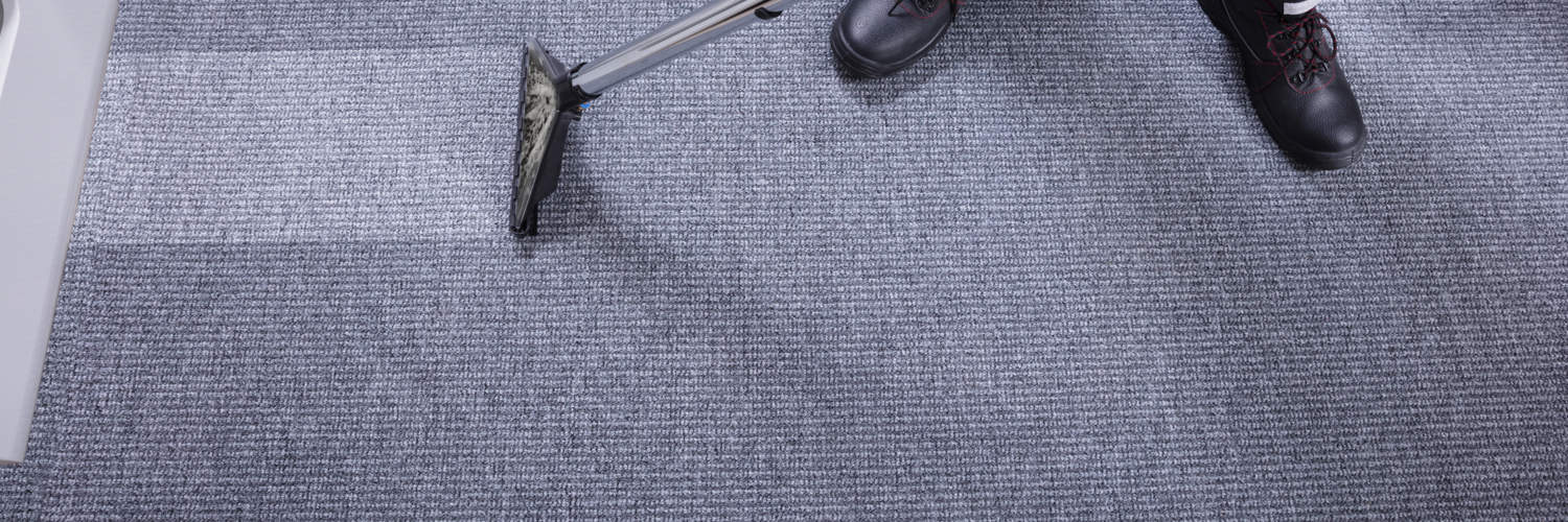 Carpet Cleaning Near Me South Elgin IL