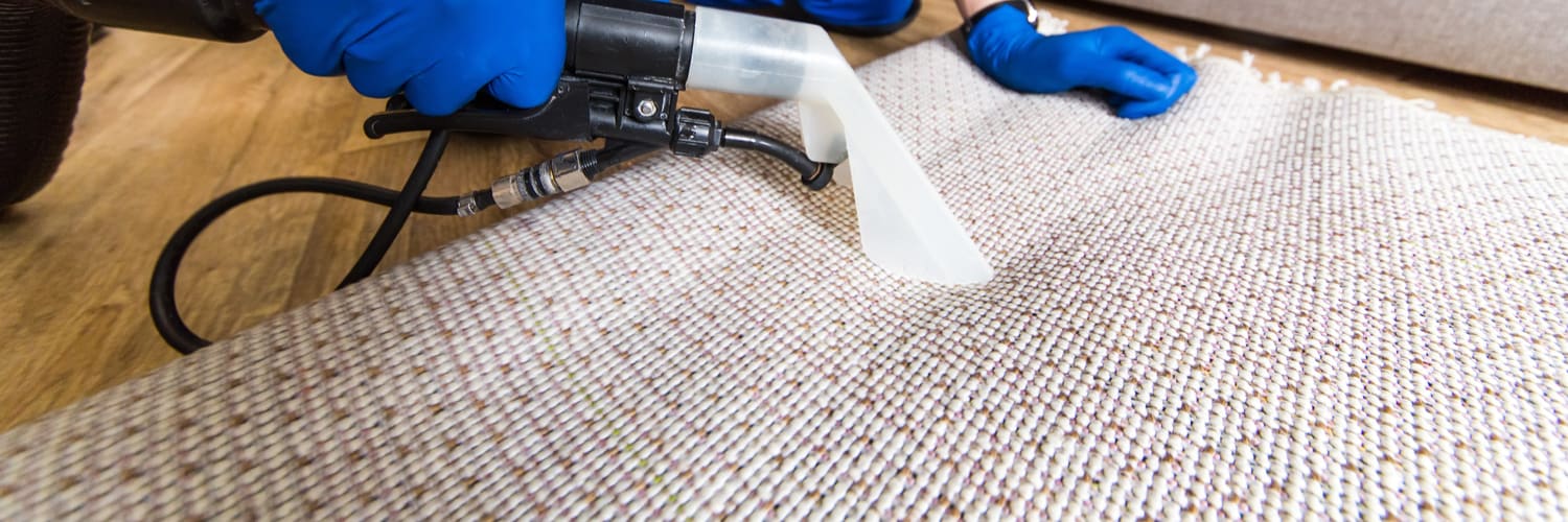 Carpet Cleaning South Elgin IL
