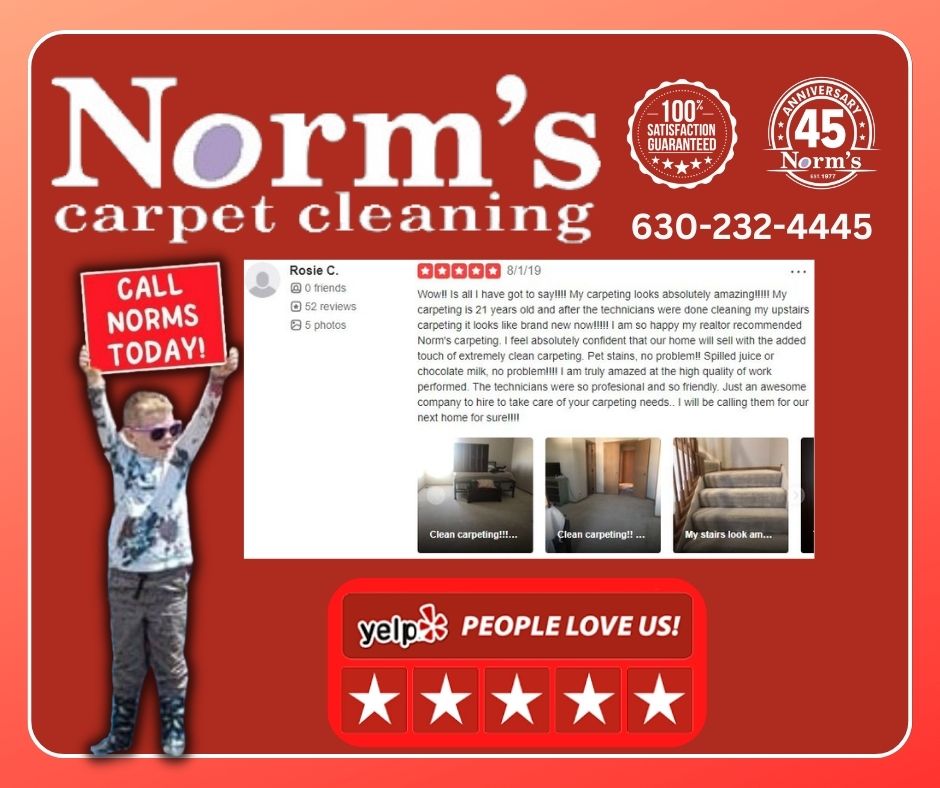 Norms Carpet Cleaning Elburn