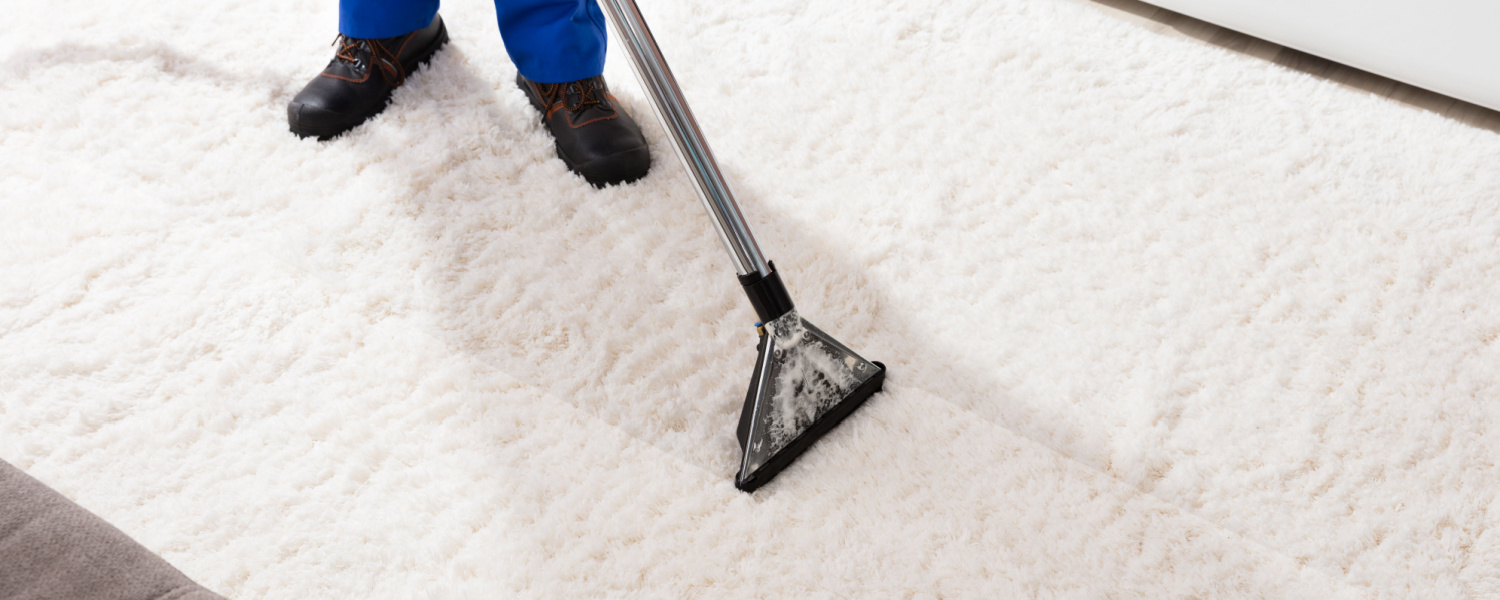 Aurora Carpet Cleaning
