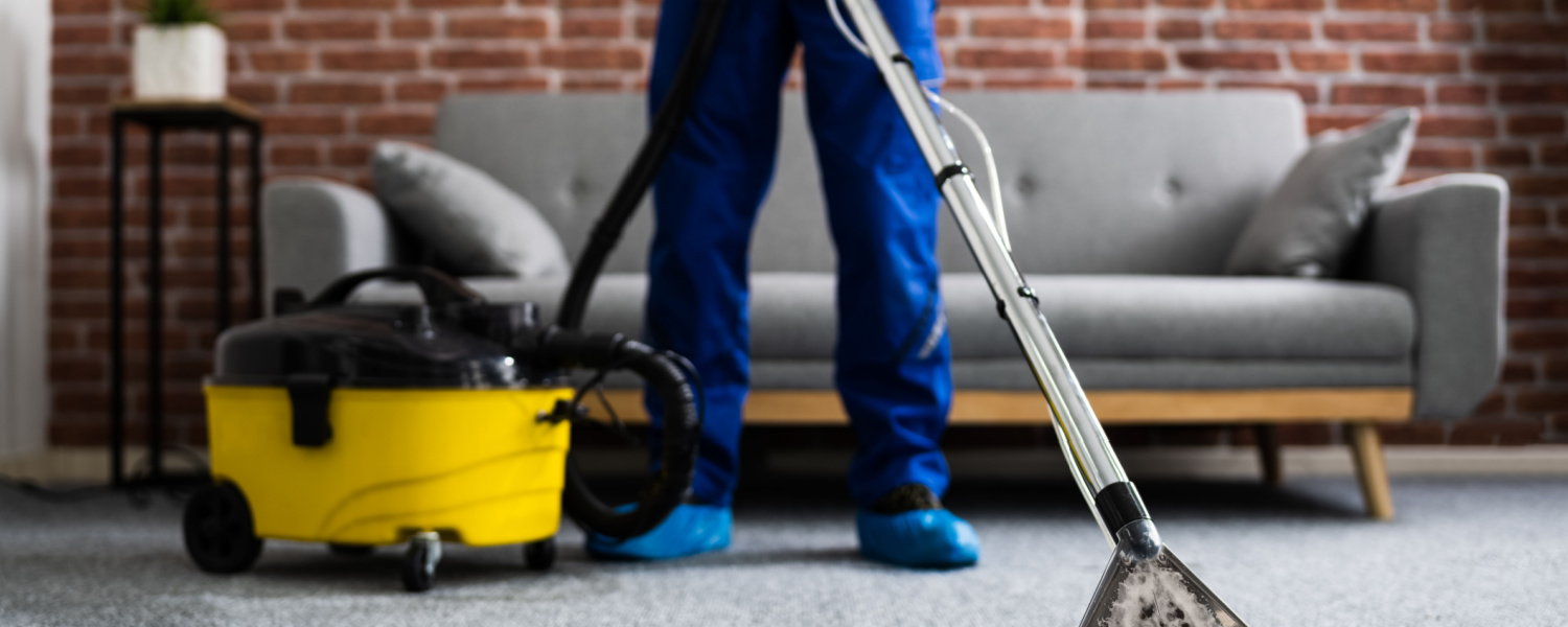 Carpet Cleaning Companies Near Me Elgin, IL
