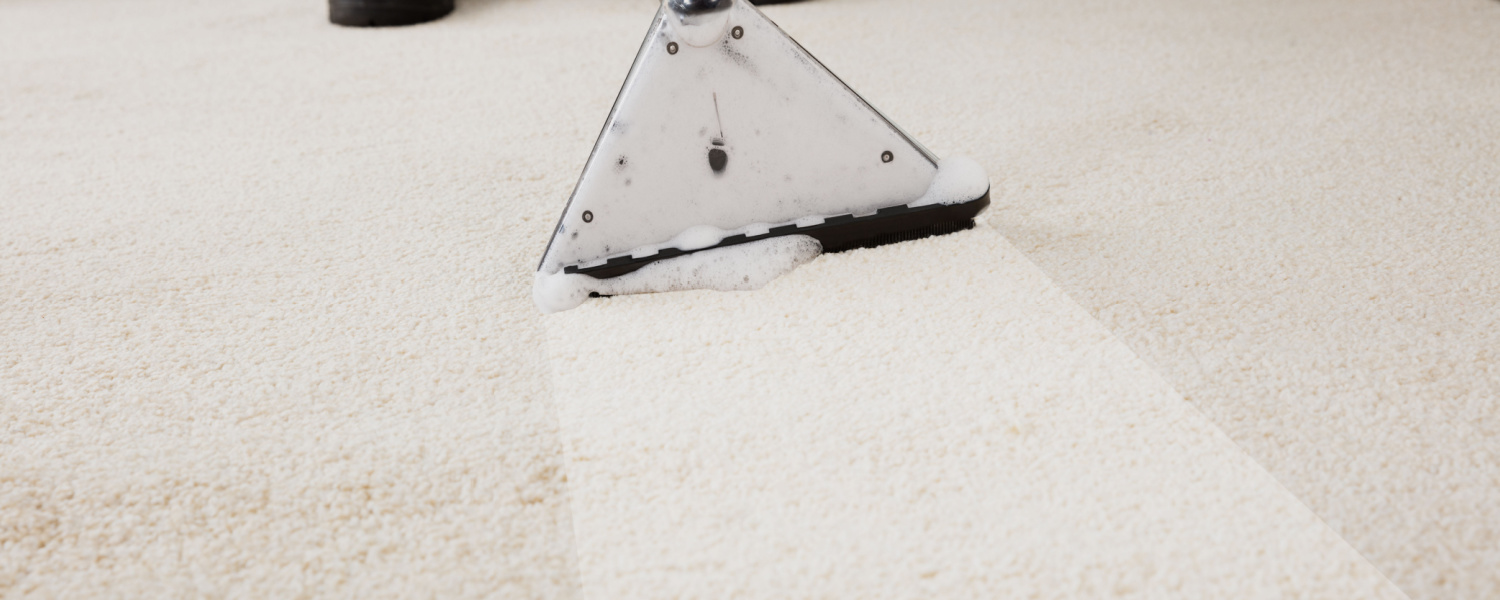 Carpet Cleaning Services Elgin, IL